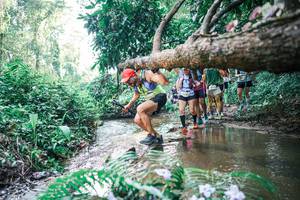 BIB: 
                            <button type="button" onclick="openModal(25462434)" class="btn btn-primary btn-sm float-right btn-popup" data-toggle="modal" data-target=".modal-high-quality">
                        <i class="fas fa-shopping-cart"></i> Add to Cart
                    </button>
                                            <button type="button" onclick="isThisMe(25462434, true)" class="btn btn-success btn-sm float-right btn-popup btn-isme hidden" data-toggle="tooltip" data-placement="bottom" title="นี่คือรูปของคุณใช่ไหม คลิกที่นี่เพื่อเอาเข้าอัลบั้ม">
                        <i class="fas fa-plus"></i> Add to album
                    </button>
                    <button type="button" onclick="isThisMe(25462434, false)" class="btn btn-warning btn-sm float-right btn-popup btn-isnotme hidden">
                        <i class="fas fa-ban"></i> Remove from album
                    </button>